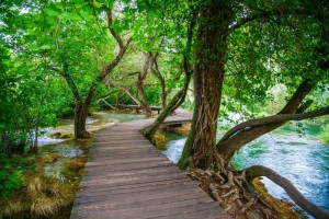 Wooden pathways on Krka river, Excursion from Split and Trogir